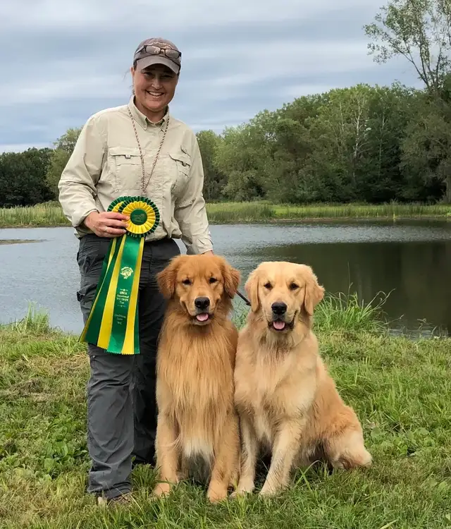 Are Golden Retrievers Labs