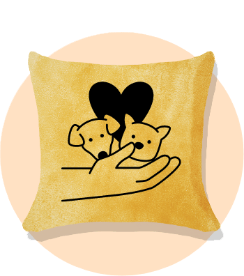 Pet Pillow