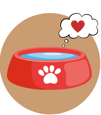 Ceramic Pet Bowl