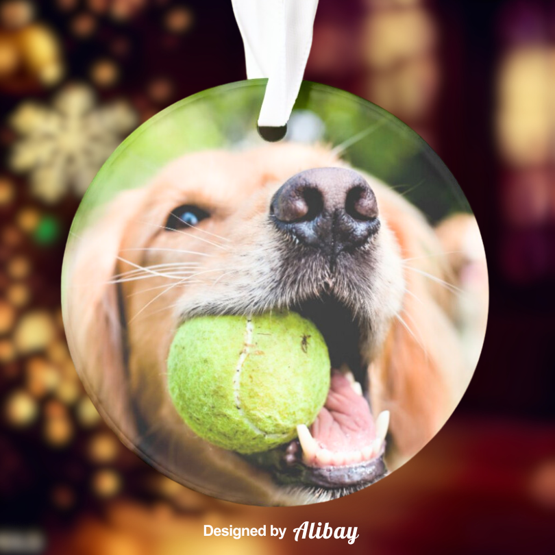 Fetching Fun | Photo Golden Retriever Ornaments