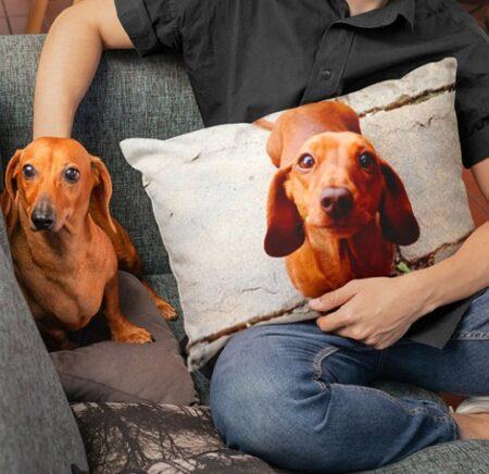 Personalized Dog Pillows 2