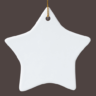 Star Aluminum Pet Ornament