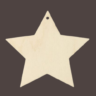 Star Wooden Pet Ornament